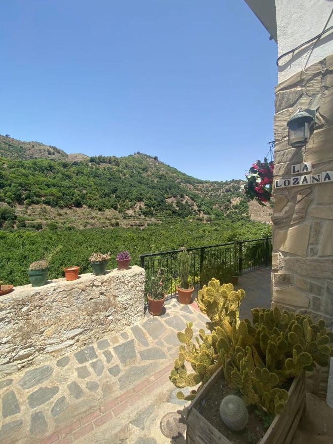 La Lozana - Rio Verde Jete Exterior photo